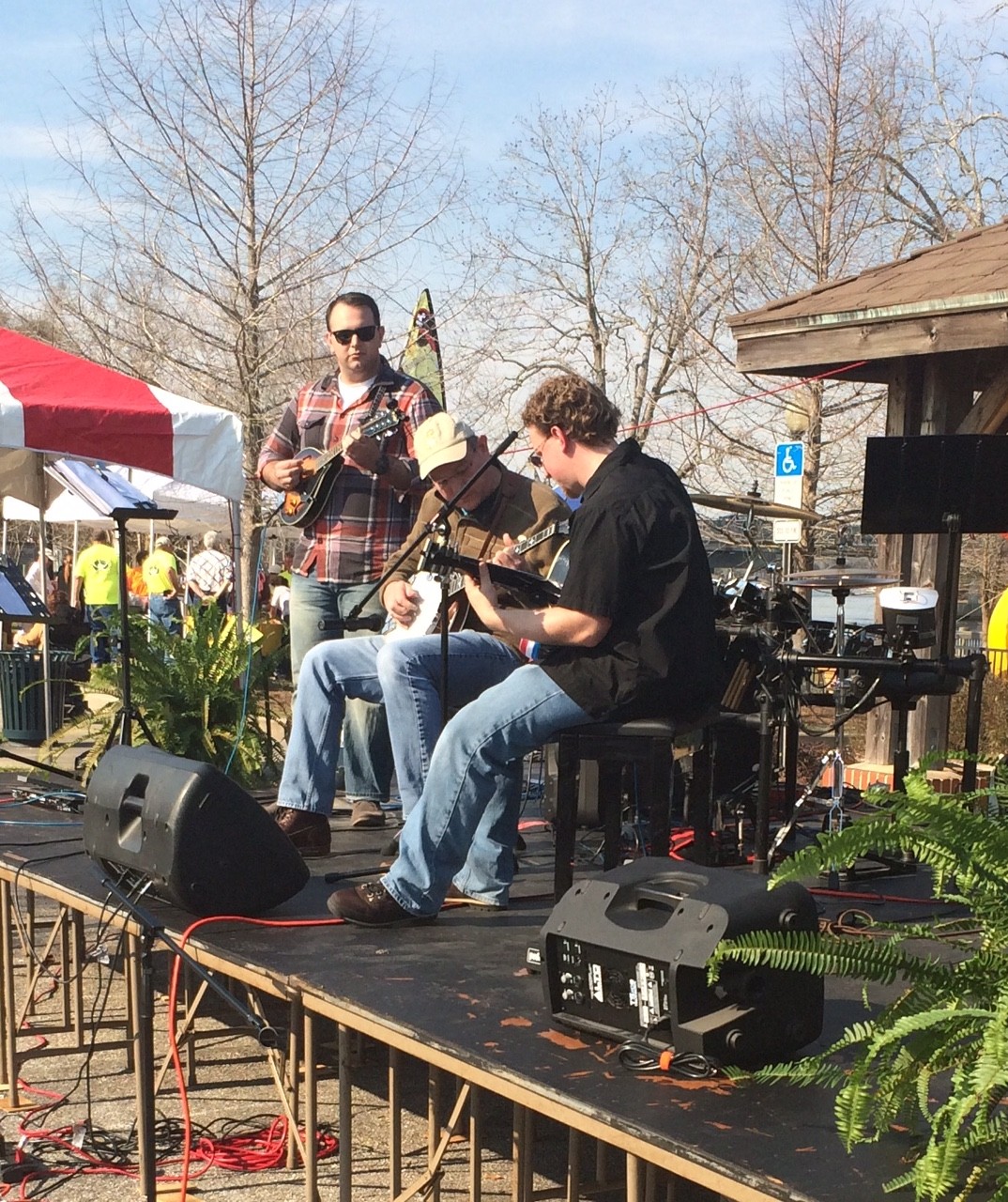 Mandolin Lessons